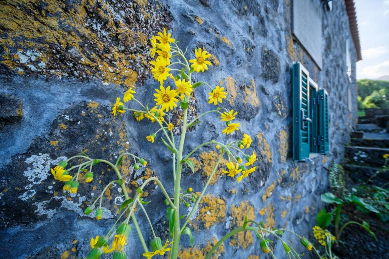 Stone Home Casa Do Caisinho Pico Island Terra Alta المظهر الخارجي الصورة