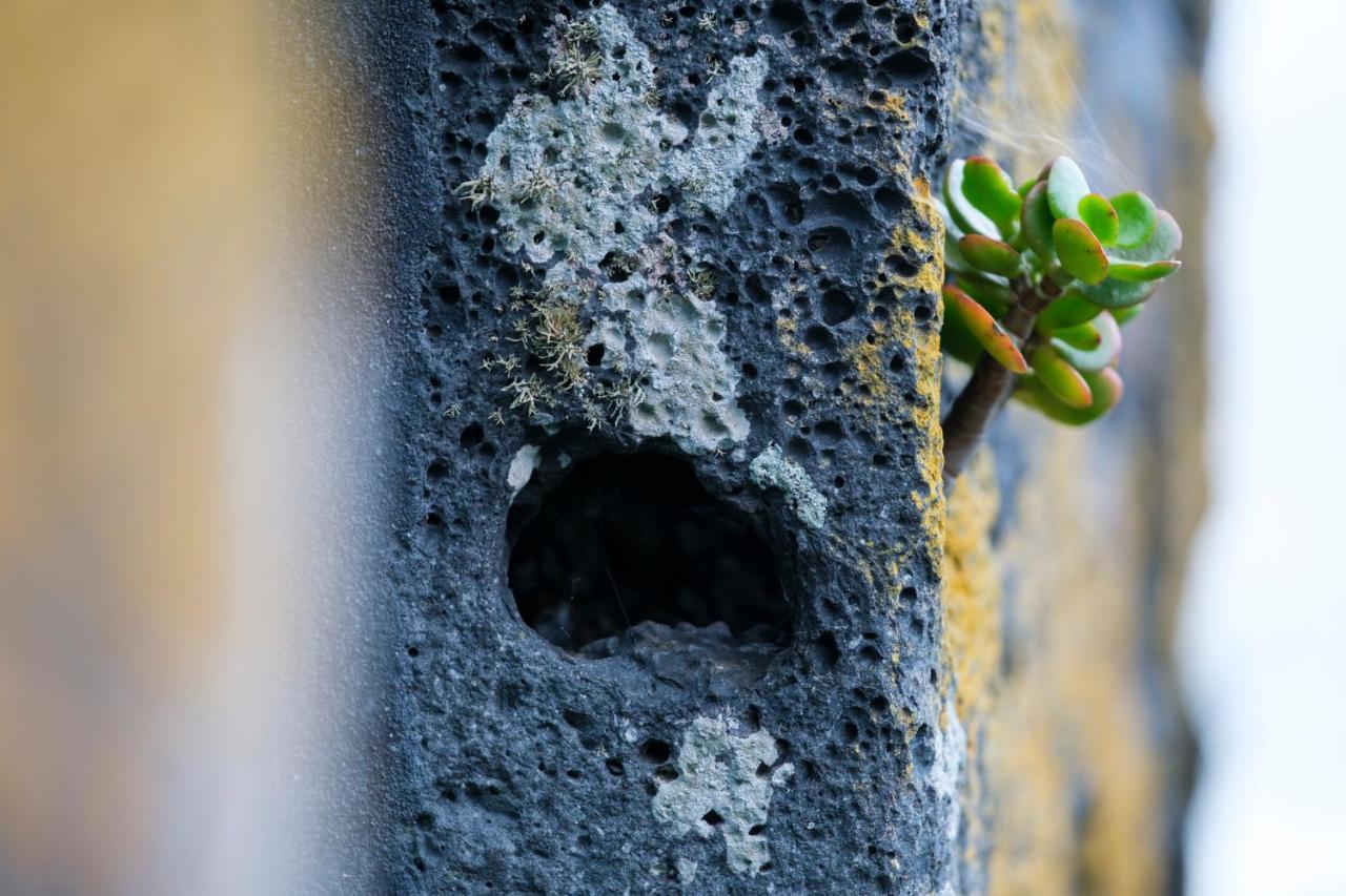 Stone Home Casa Do Caisinho Pico Island Terra Alta المظهر الخارجي الصورة